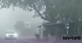 উত্তরবঙ্গ কাঁপছে শীতে দিনাজপুরে তাপমাত্রা ১১.৬ ডিগ্রিতে উত্তরবঙ্গ কাঁপছে শীতে দিনাজপুরে তাপমাত্রা ১১.৬ ডিগ্রিতে